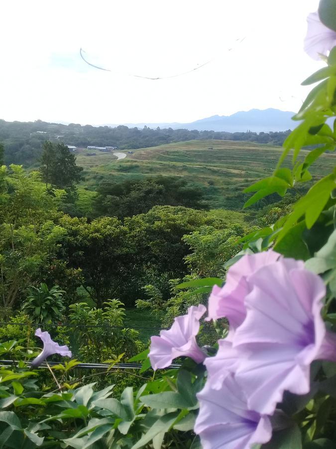 Rancha Azul Inn Alajuela Exteriör bild